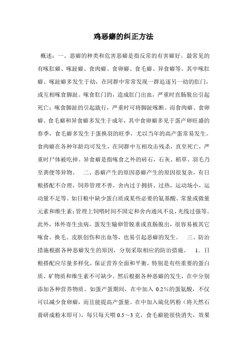 鸡恶癖的纠正方法.doc