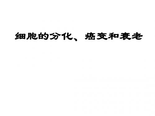 高二生物细胞的分化、癌变和衰老