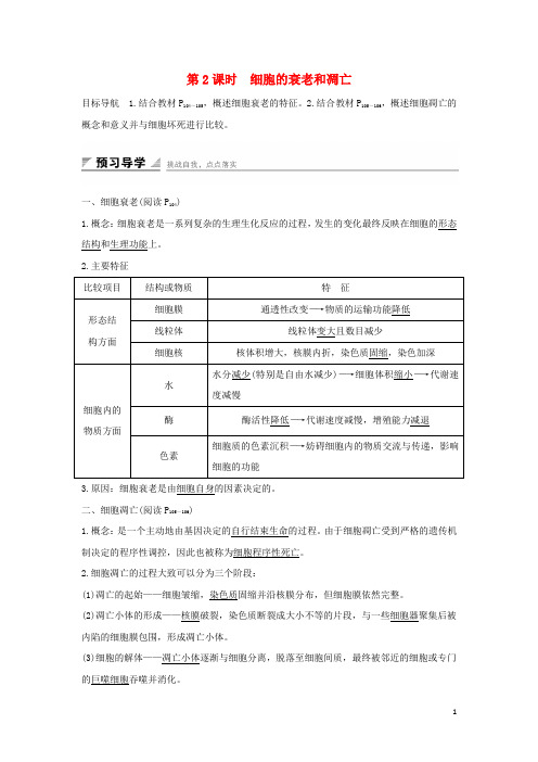 江苏省启东市高中生物 第五章 细胞增殖、分化、衰老和死亡 5.2.2 细胞的衰老和凋亡学案 新人教版必修1