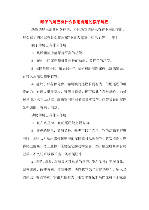 猴子的尾巴有什么作用有趣的猴子尾巴