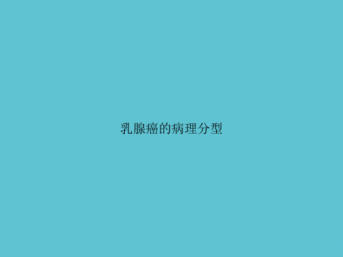 【实用】乳腺癌的病理分型ppt资料
