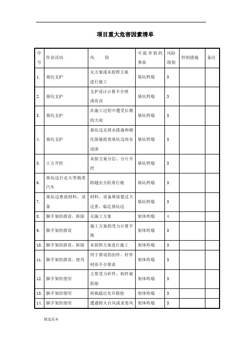 项目重大风险清单