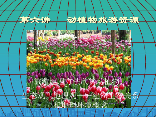 动植物旅游资源介绍(ppt 25页)