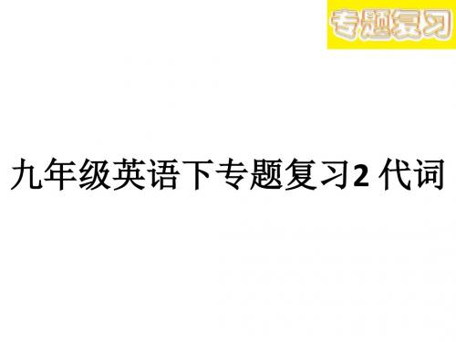 人教版九年级英语下专题复习2代词【课件】