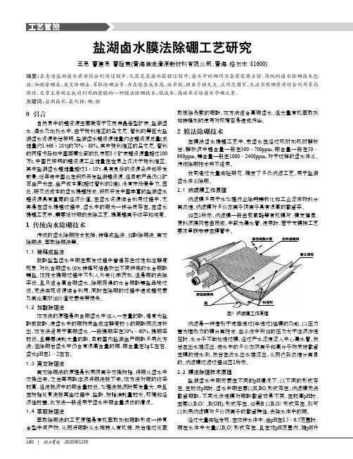 盐湖卤水膜法除硼工艺研究