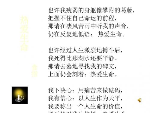 高中语文粤教版选修《短篇小说欣赏》第三单元第9课《热爱生命》课件