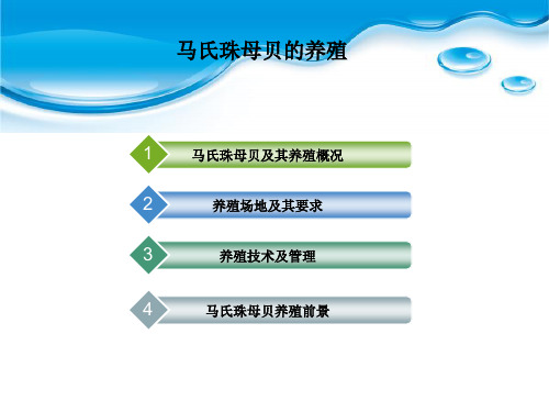 马氏珠母贝养殖技术介绍 广西大学