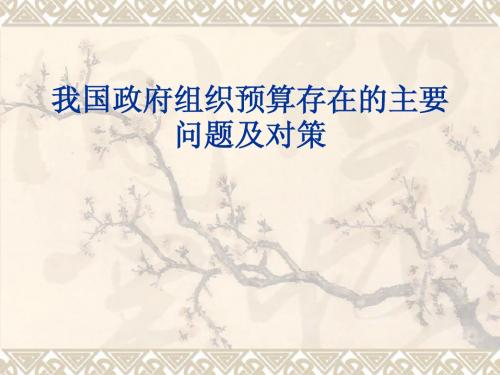 政府组织财政预算存在的问题及解决措施