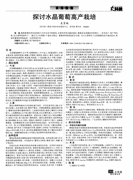 探讨水晶葡萄高产栽培