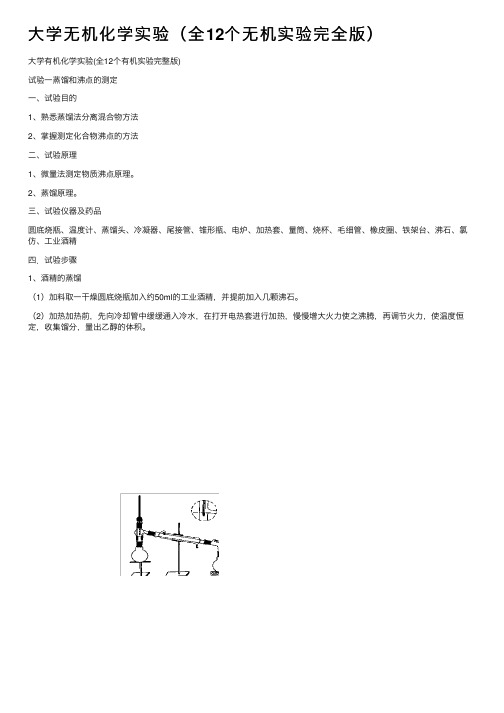 大学无机化学实验（全12个无机实验完全版）