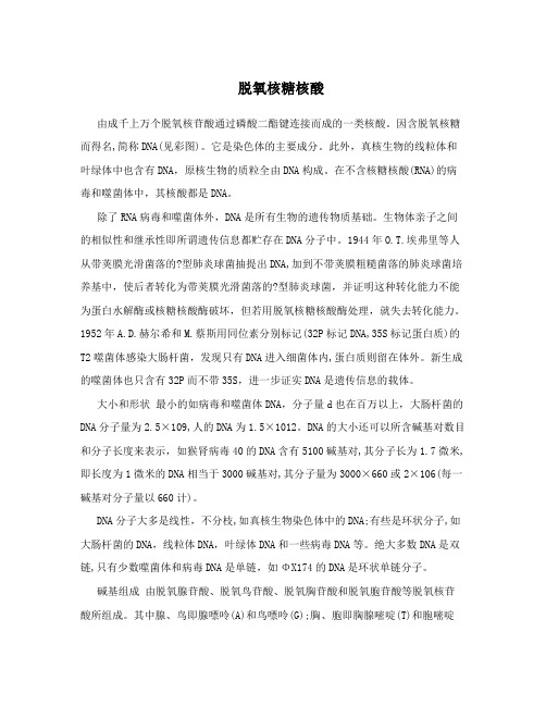 脱氧核糖核酸