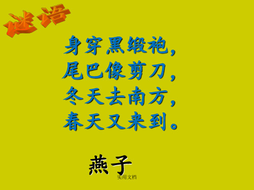 《给动物设计名片》