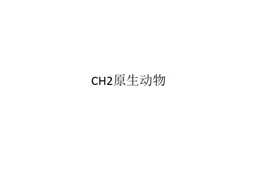 CH2原生动物
