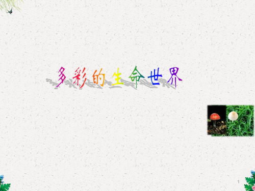 初一政治课件 多彩的生命世界(3)