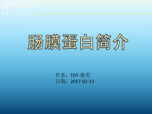 肠膜蛋白简介
