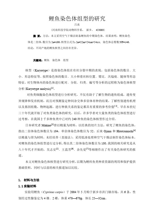 鲤鱼染色体组型的研究