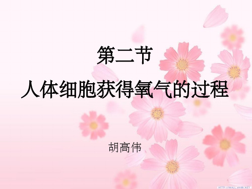 人体细胞获得氧气的过程46581ppt课件