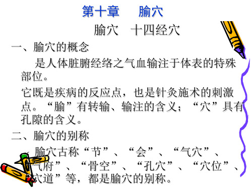 第二章腧穴总论1