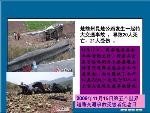 第六章机动车责任