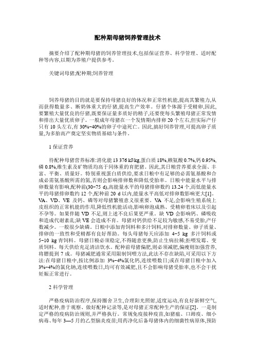 配种期母猪饲养管理技术