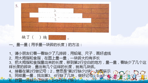 “量一量”和“找规律”