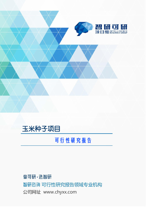 玉米种子项目可行性研究报告