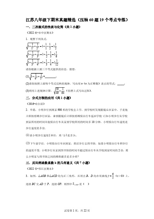 江苏八年级下期末真题精选(压轴60题19个考点专练)～【满分全攻略】2022～2023