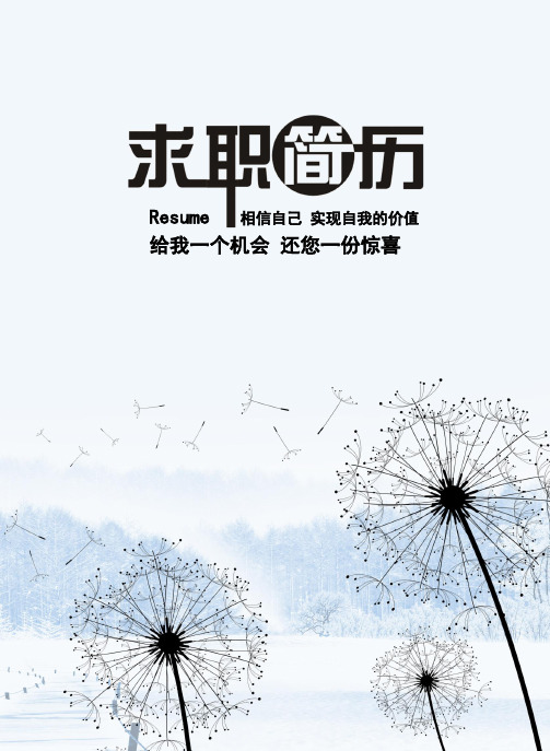 新疆财经大学毕业生求职个人简历最新创意模板【封面+自荐书+简历+封底】