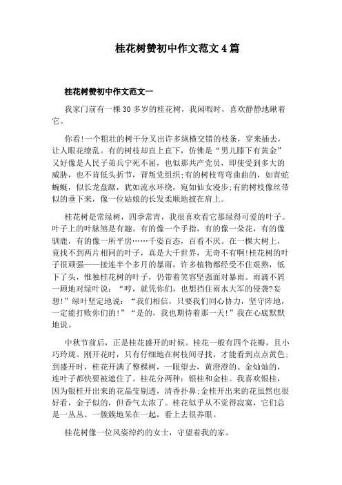 桂花树赞初中作文范文4篇
