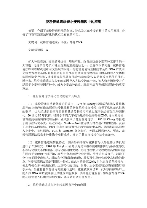 花粉管通道法在小麦转基因中的应用