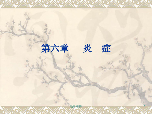病理学第四章 炎症ppt课件