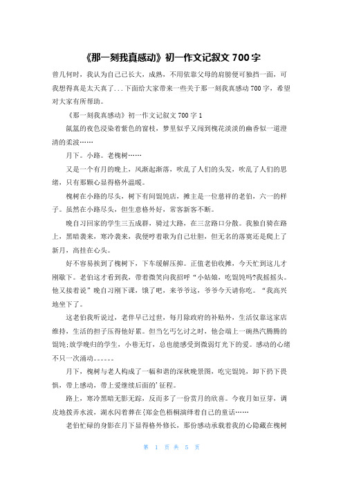 《那一刻我真感动》初一作文记叙文700字