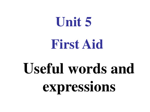 M5U5Useful words and expressions