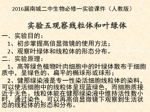 实验五观察线粒体和叶绿体