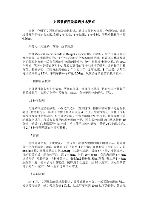 文冠果育苗及栽培技术要点