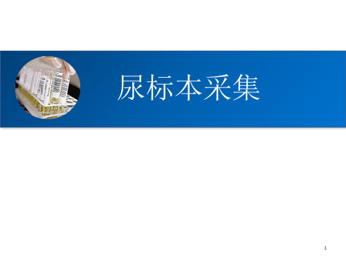 尿标本留取PPT参考幻灯片