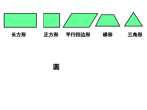 圆的认识(一)