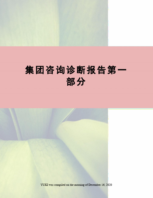 集团咨询诊断报告第一部分