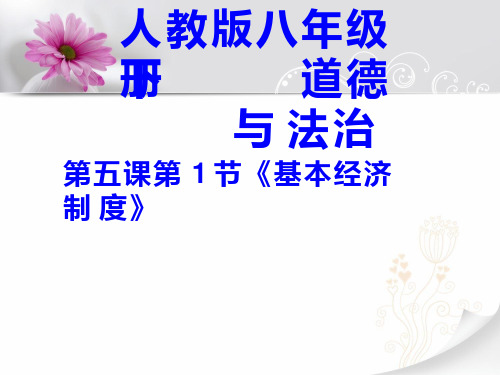 初中道德与法治《基本经济制度1(1)》优质教学课件