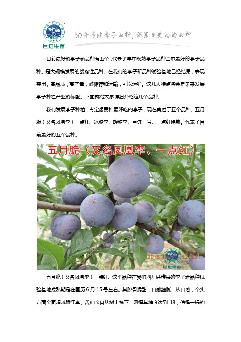 李子品种介绍------目前最好的五个李子新品种