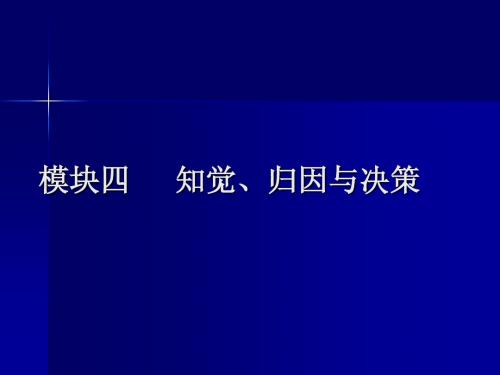 2009-ob4知觉与决策