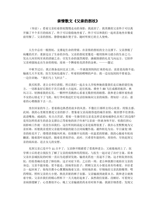 亲情散文《父亲的拐杖》