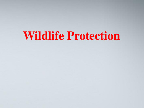 高中英语 Unit4Wildlife protection language points课件 新人教版必修2
