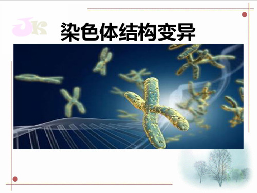 必修二染色体变异翻转课堂微课课件(14张PPT)