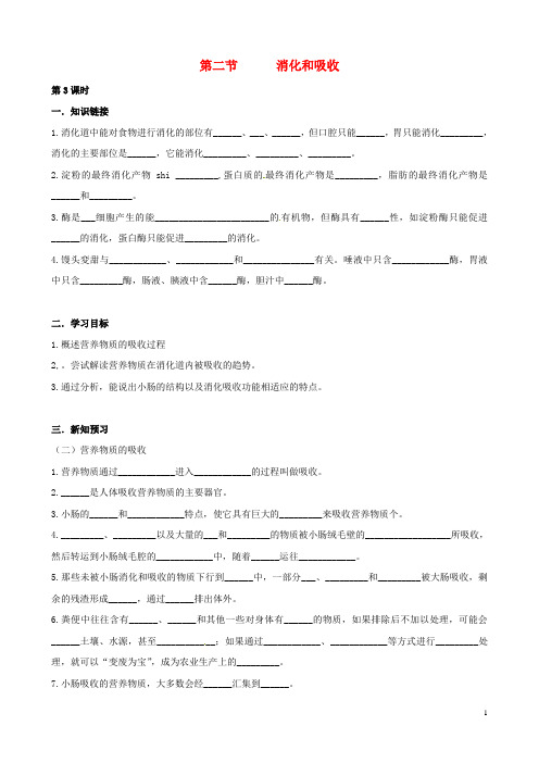 七年级生物下册 第二章 第二节 消化和吸收(第3课时)学案(无答案)