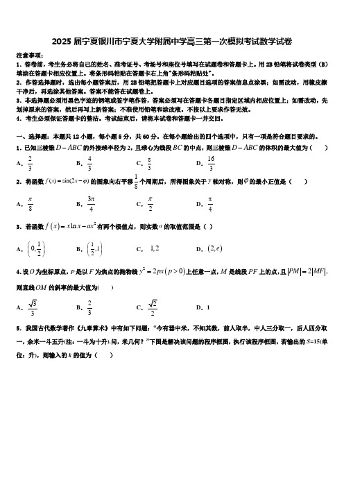 2025届宁夏银川市宁夏大学附属中学高三第一次模拟考试数学试卷含解析