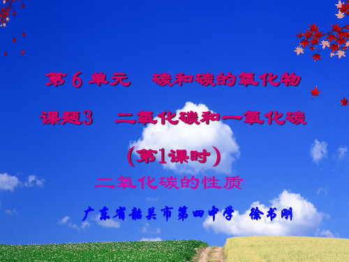 人教版九年级化学上册二氧化碳的性质说课课件