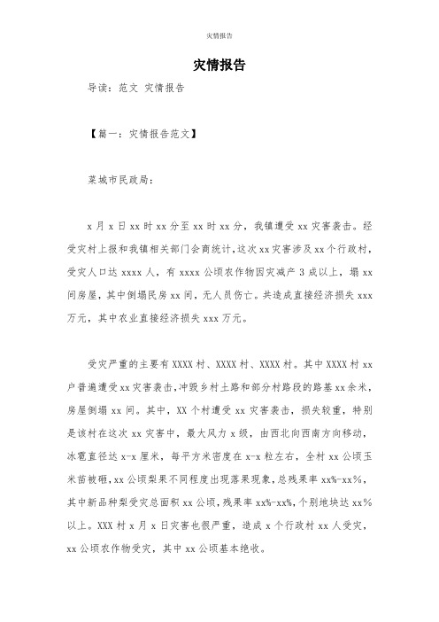 灾情报告