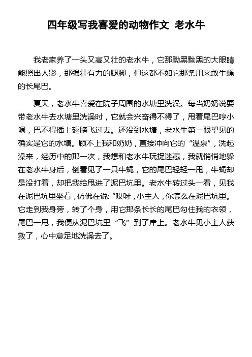 四年级写我喜爱的动物作文老水牛