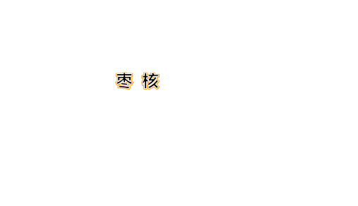 三年级下册语文第28课枣核人教部编版